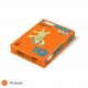 Hartie color, A4, 80g/mp, IQ Color, intense